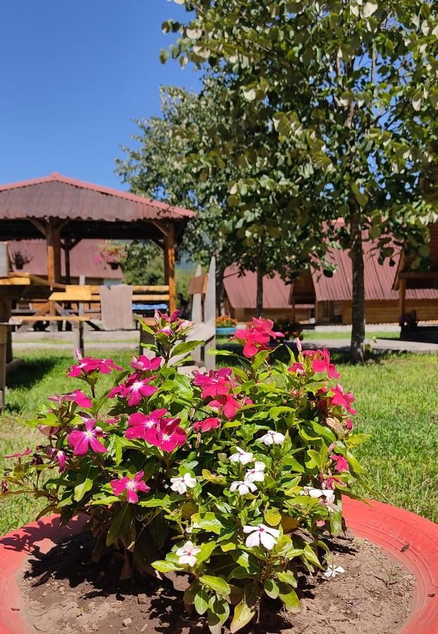 Апартаменты Kamp Svetigora Колашин-16