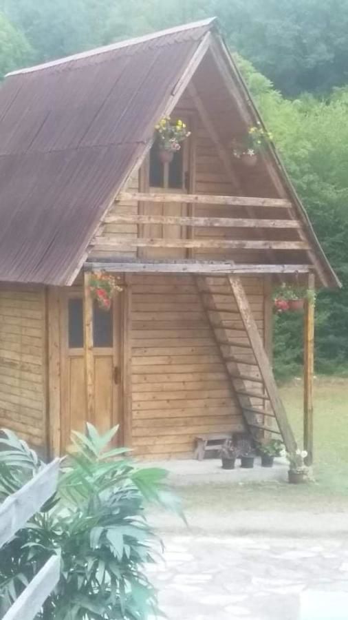 Апартаменты Kamp Svetigora Колашин-19