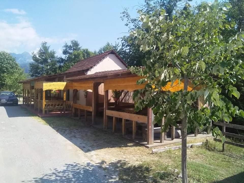 Апартаменты Kamp Svetigora Колашин-34