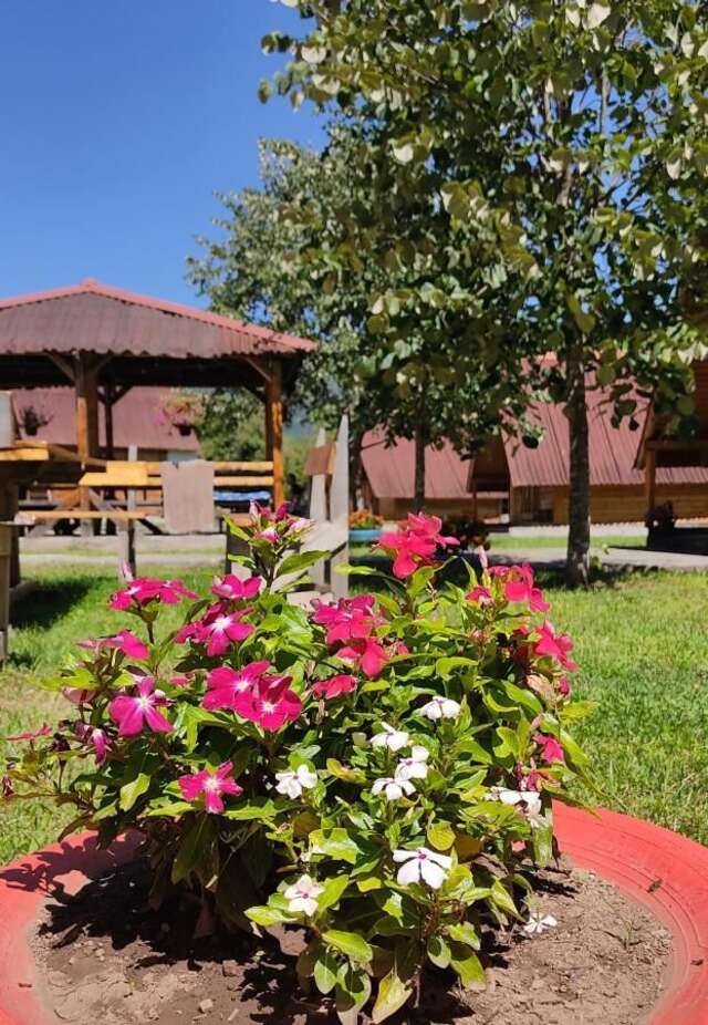 Апартаменты Kamp Svetigora Колашин-15